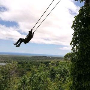 Meet your Posher, Darwin